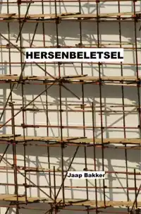 HERSENBELETSEL