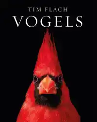 VOGELS