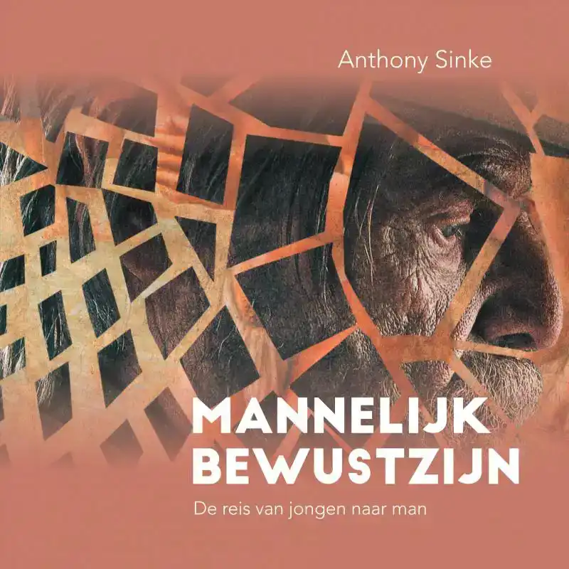 MANNELIJK BEWUSTZIJN