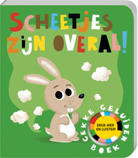 SCHEETJES ZIJN OVERAL