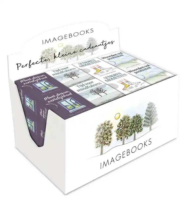 DISPLAY PERFECTE BOEK CADEAUTJES 4 X 6 EX.