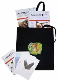 ANIMAL FUN