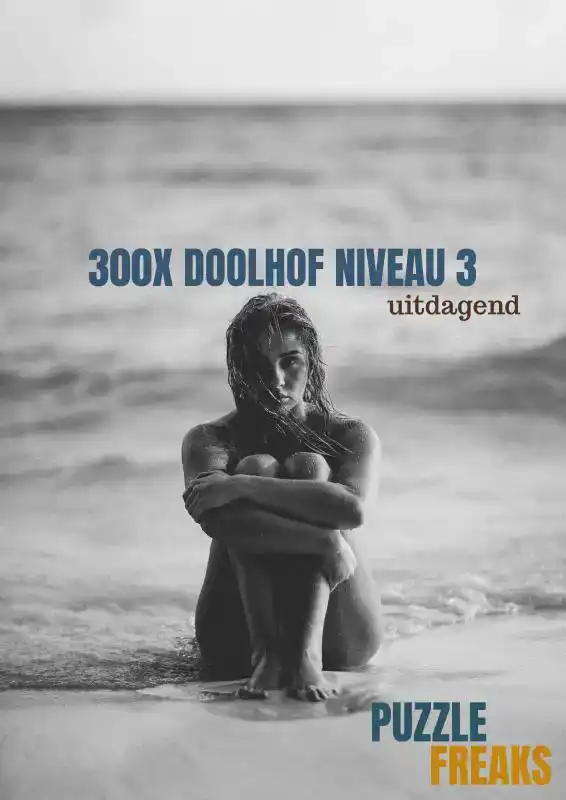 300X DOOLHOF NIVEAU 3