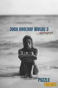 300X DOOLHOF NIVEAU 3