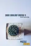 300X DOOLHOF NIVEAU 5