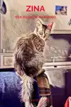 ZINA