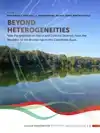 BEYOND HETEROGENEITIES