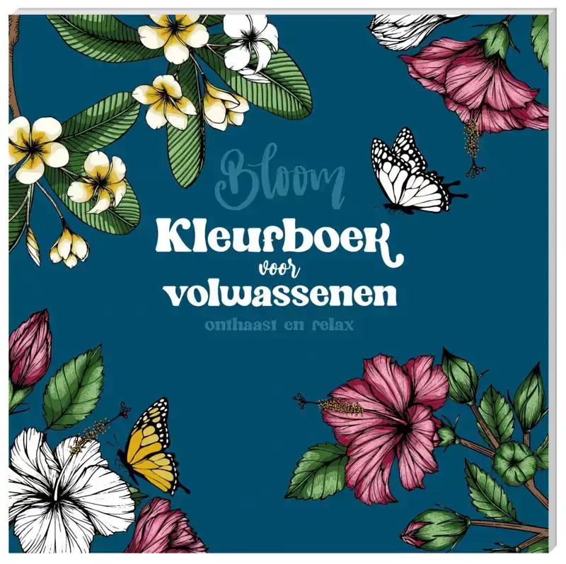 KLEURBOEK VOOR VOLWASSENEN INTERSTAT