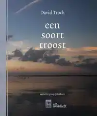 EEN SOORT TROOST