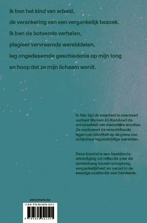 HIER LIGT DE WAARHEID IN OVERDAAD