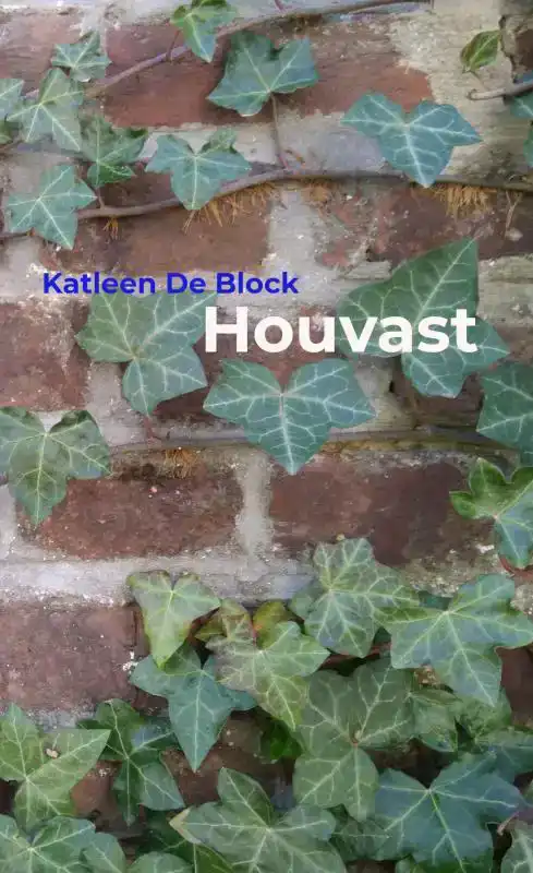 HOUVAST