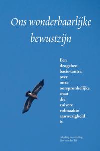 ONS WONDERBAARLIJKE BEWUSTZIJN