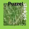 PUZZELSTUKJES