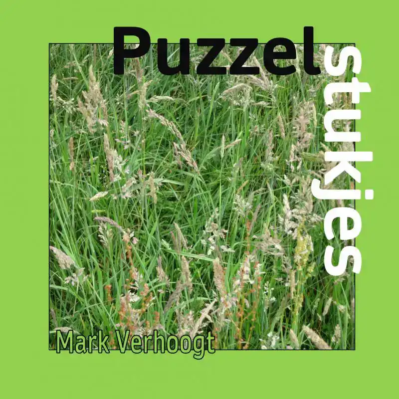 PUZZELSTUKJES