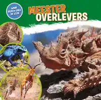 MEESTEROVERLEVERS