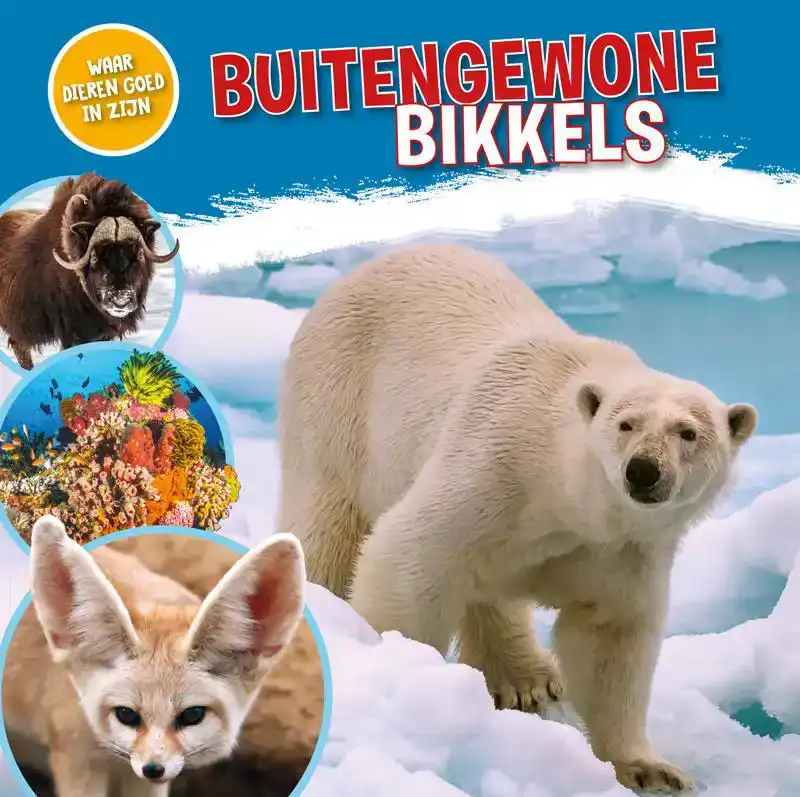 BUITENGEWONE BIKKELS