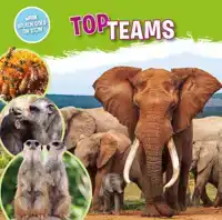 TOPTEAMS