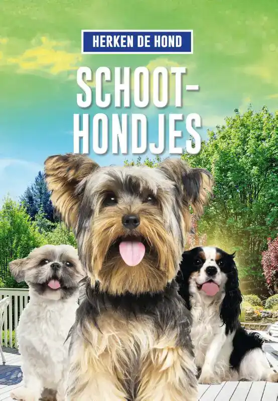SCHOOTHONDJES