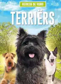 TERRIERS