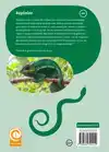 REPTIELEN