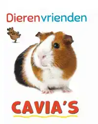 CAVIA