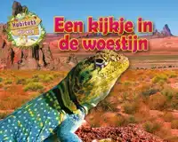 EEN KIJKJE IN DE WOESTIJN