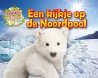 EEN KIJKJE OP DE NOORDPOOL