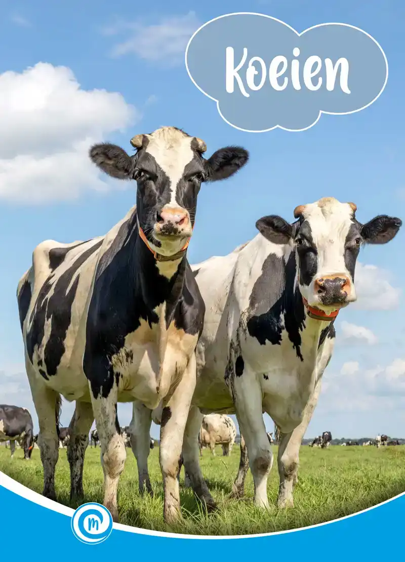 KOEIEN