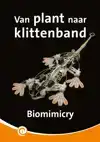 VAN PLANT NAAR KLITTENBAND