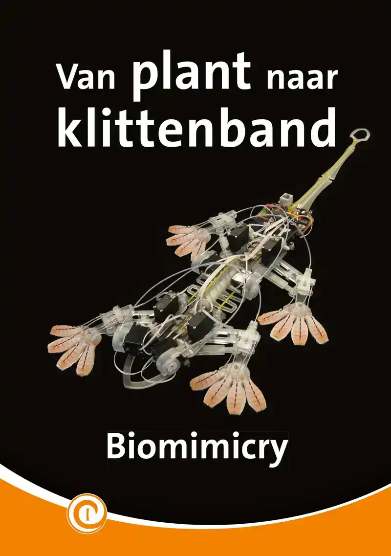 VAN PLANT NAAR KLITTENBAND