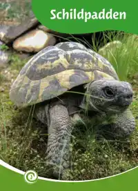 SCHILDPADDEN