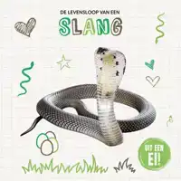 DE LEVENSLOOP VAN EEN SLANG