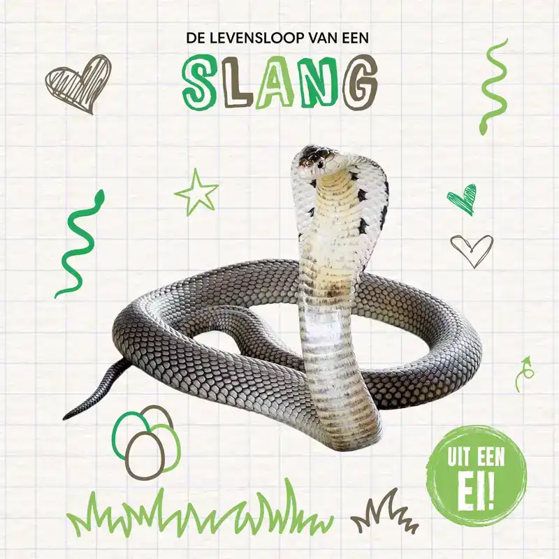 DE LEVENSLOOP VAN EEN SLANG
