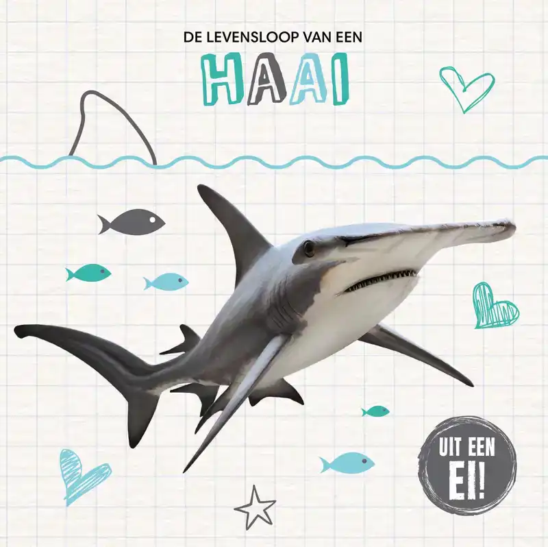 DE LEVENSLOOP VAN EEN HAAI