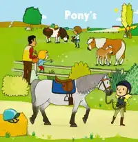 PONY'S