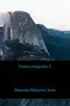 EMERSYNERGENTIE 2