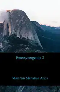 EMERSYNERGENTIE 2
