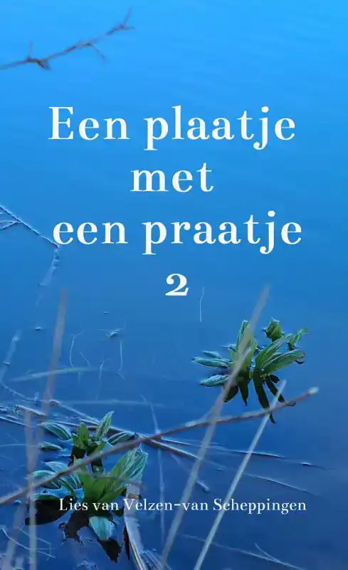 EEN PLAATJE MET EEN PRAATJE 2