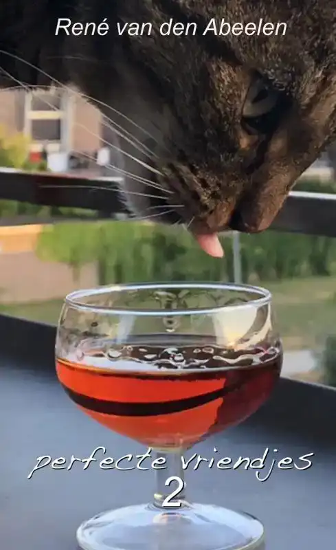 PERFECTE VRIENDJES 2