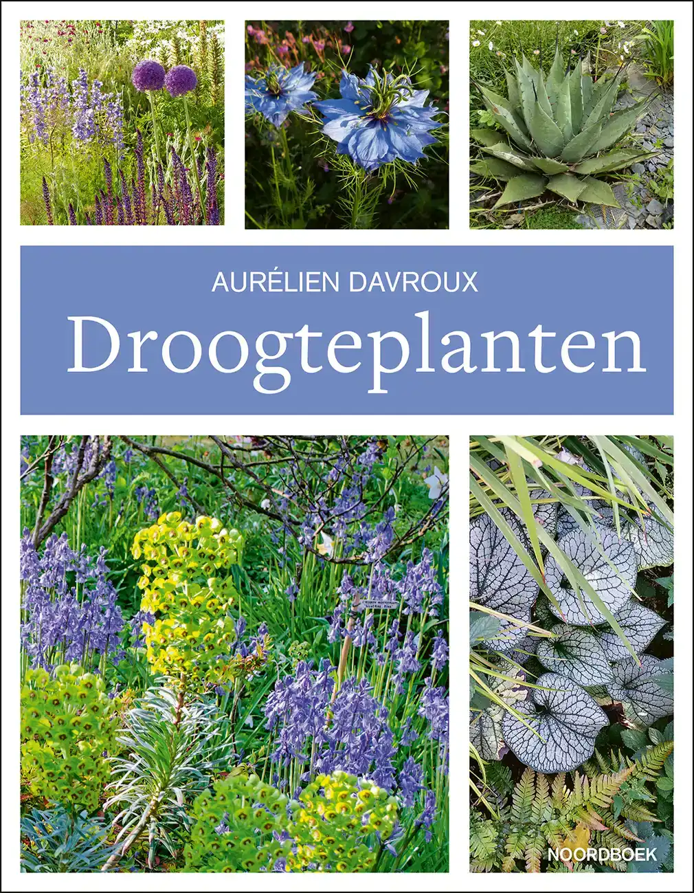 DROOGTEPLANTEN