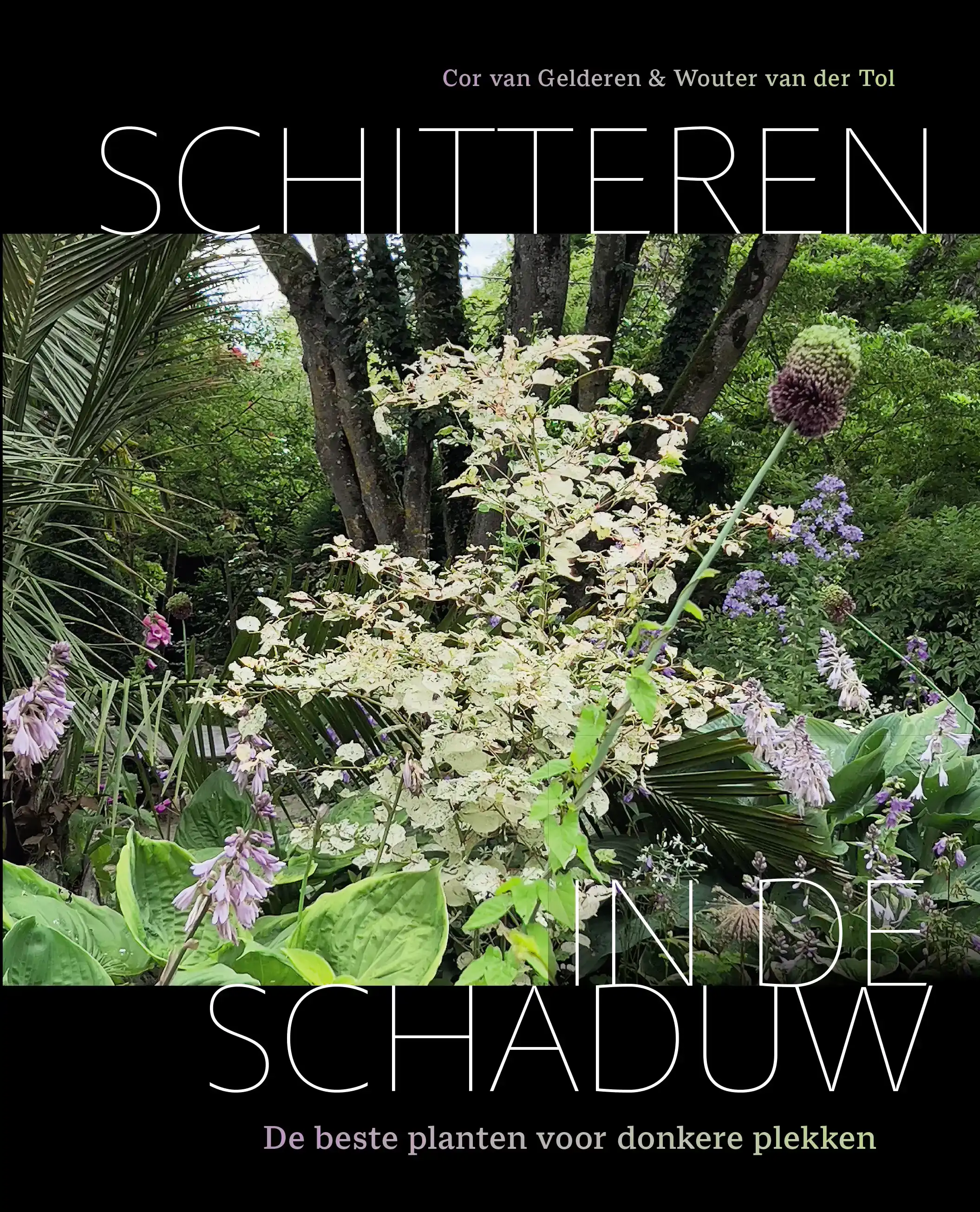 SCHITTEREN IN DE SCHADUW