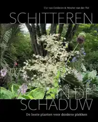 SCHITTEREN IN DE SCHADUW