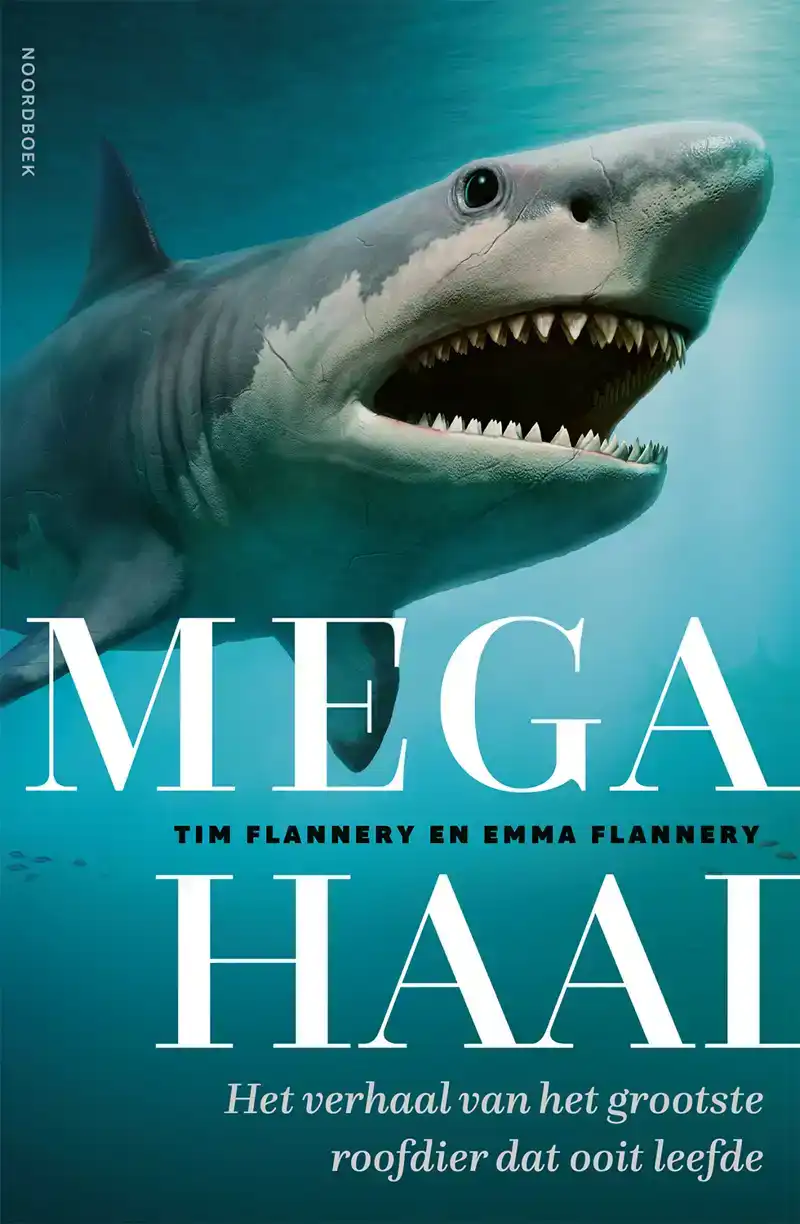 MEGAHAAI