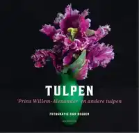 TULPEN