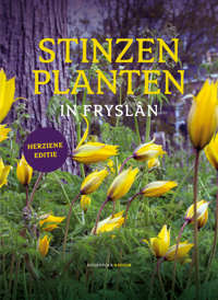 STINZENPLANTEN IN FRYSLAN