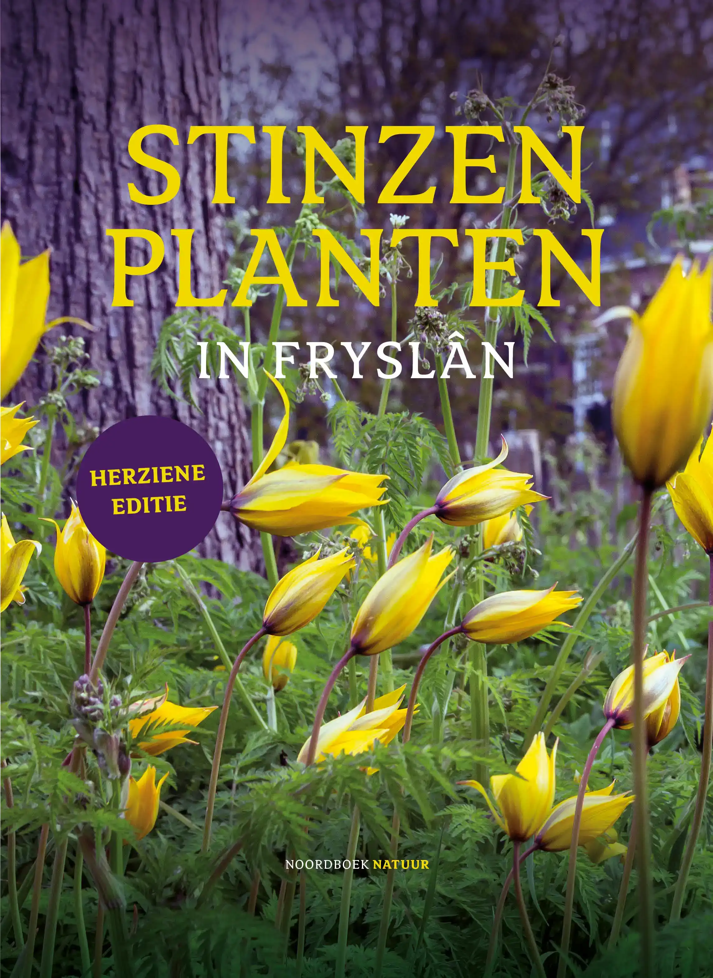 STINZENPLANTEN IN FRYSLAN