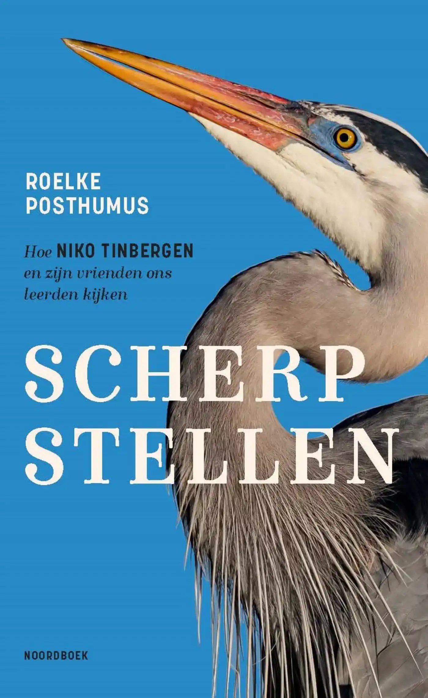 SCHERPSTELLEN