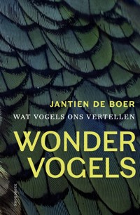 WONDERVOGELS