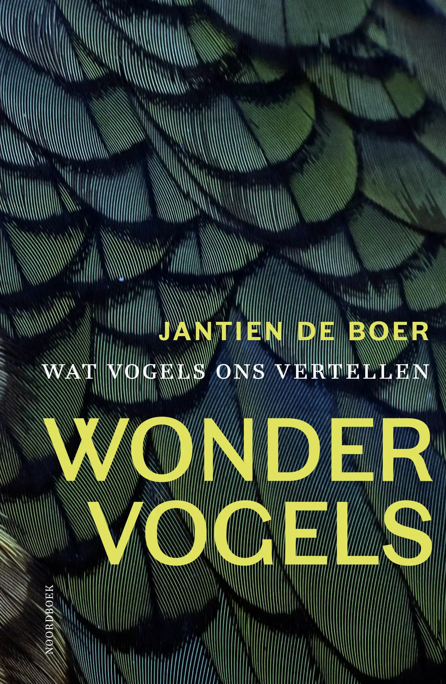 WONDERVOGELS