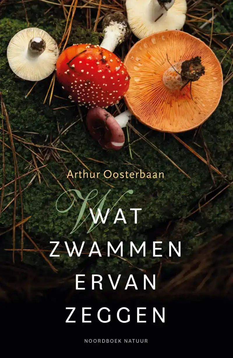 WAT ZWAMMEN ERVAN ZEGGEN